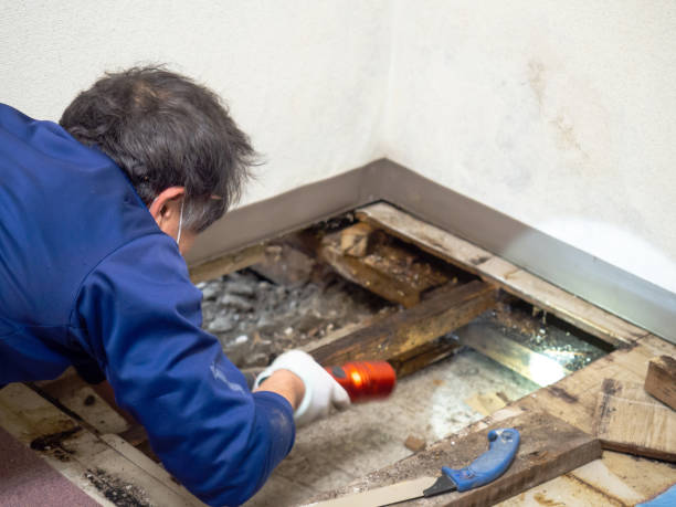 Best Crawl Space Mold Removal  in Pennsburg, PA