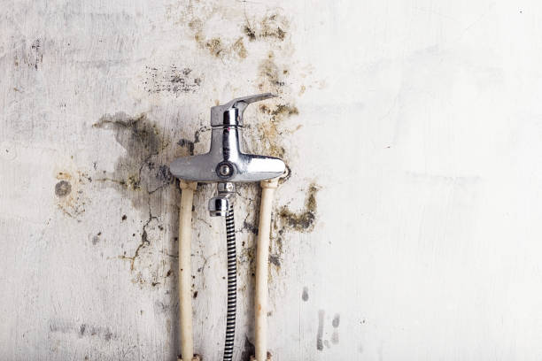 Best Office Mold Removal Services  in Pennsburg, PA