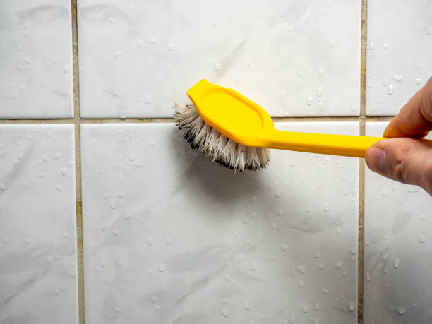 Best Emergency Mold Removal  in Pennsburg, PA