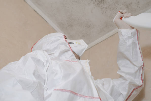 Mold Testing and Removal in Pennsburg, PA